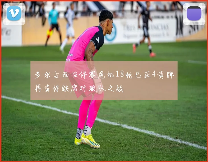 多尔古面临停赛危机18轮已获4黄牌再黄将缺席对狼队之战