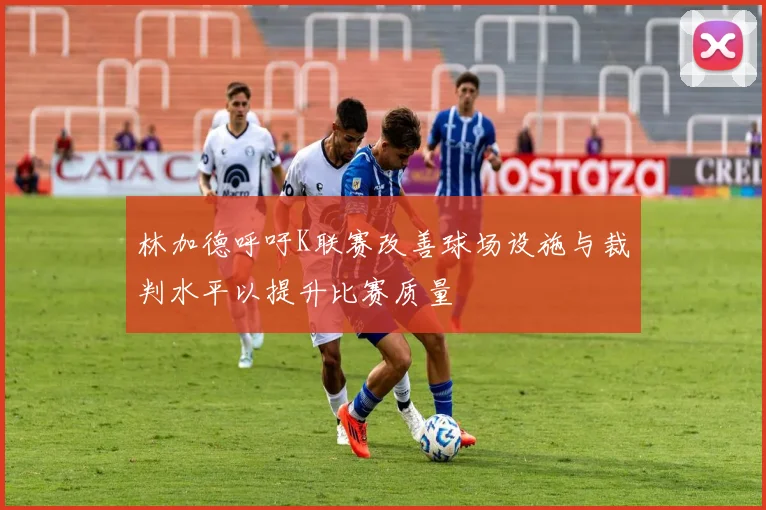 林加德呼吁K联赛改善球场设施与裁判水平以提升比赛质量